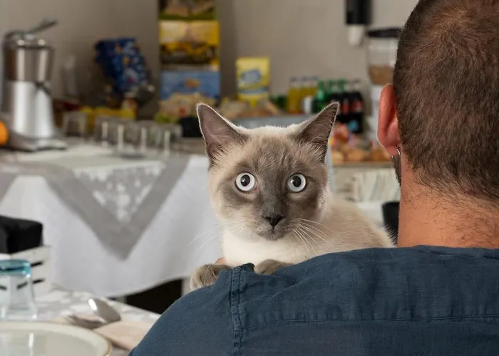 Pensionat Terrazze Dannunziane 4*